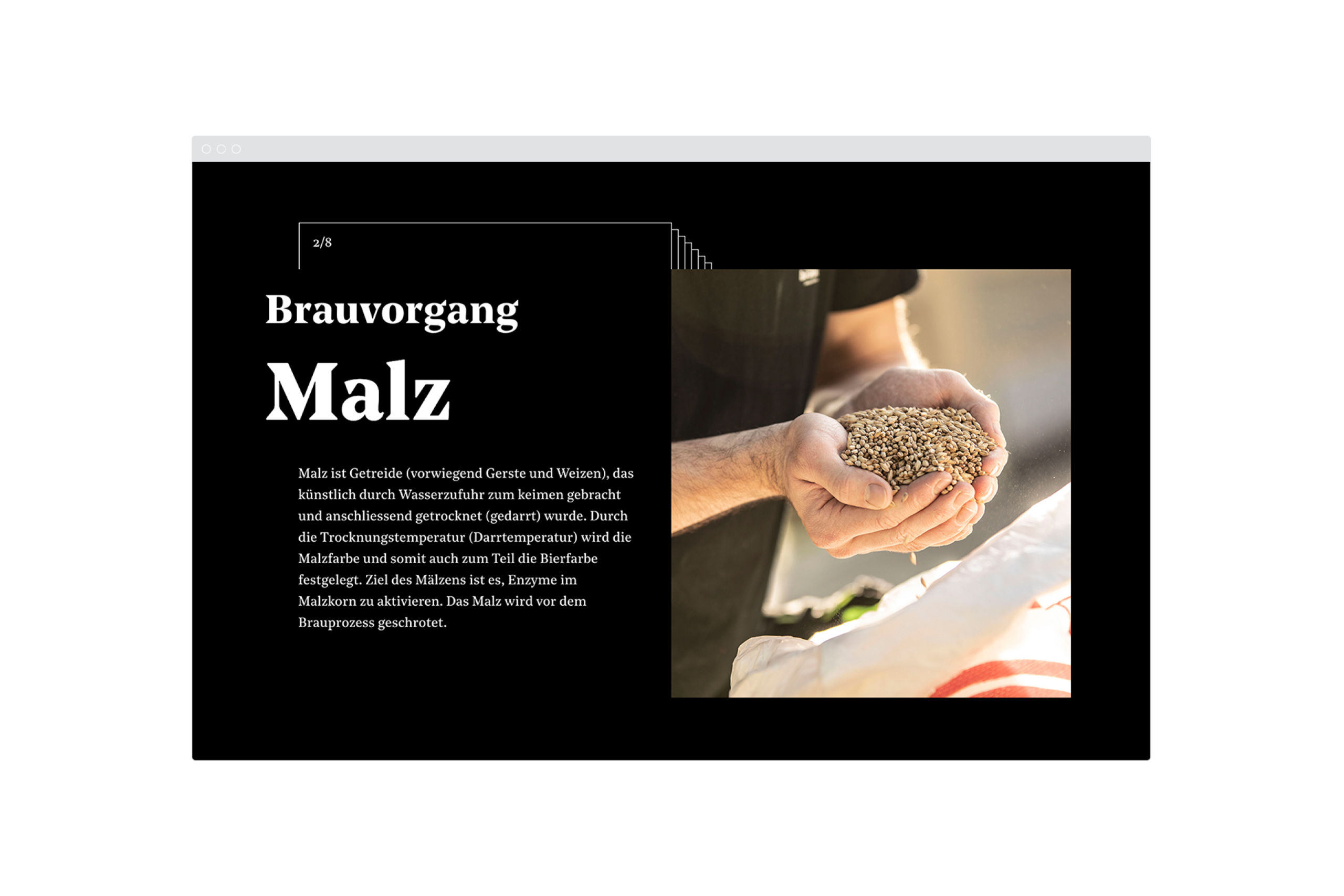 huusbraui_desktop_brauvorgang.png