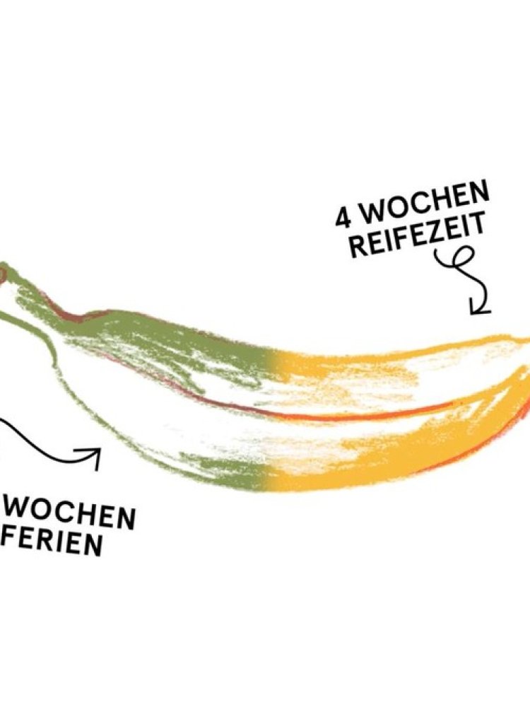 Instagram Post von Vitamin 2