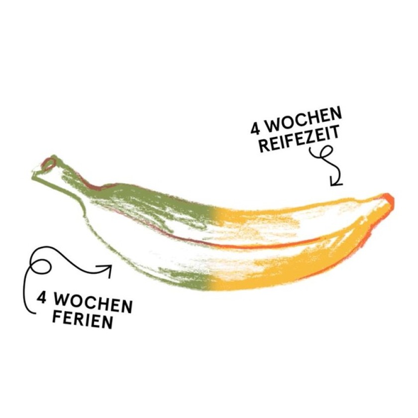 Instagram Post von Vitamin 2